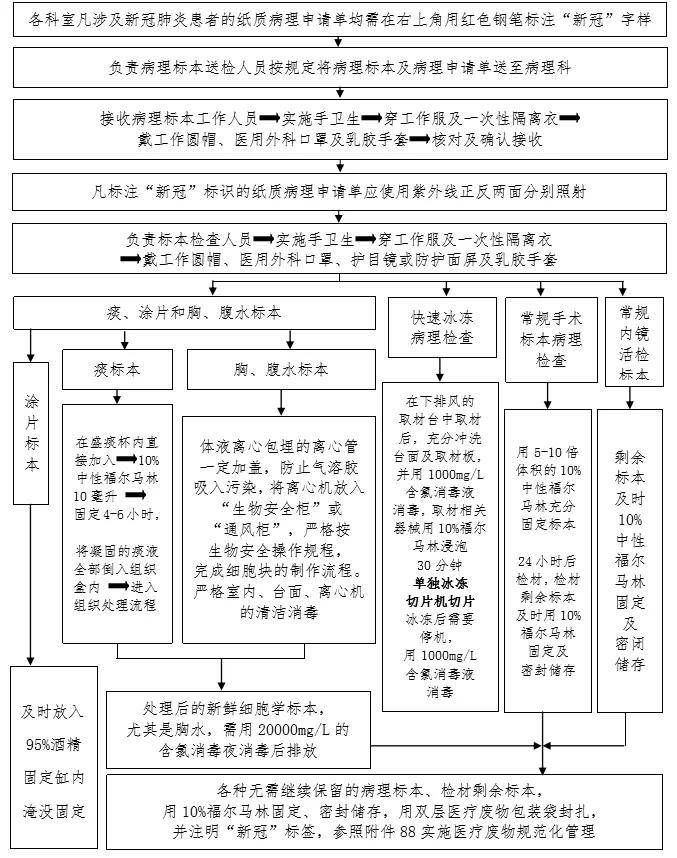 77 78 79 输血科(血库)血型血清学检验 感染防控流程 80 81 医学影像