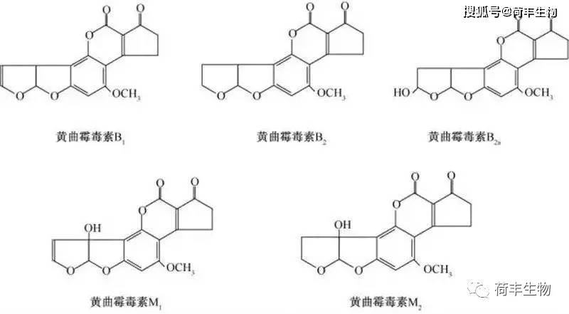 因此,2010年版《中国药典》明确规定酸枣仁中黄曲霉毒素b1(afb1)含量