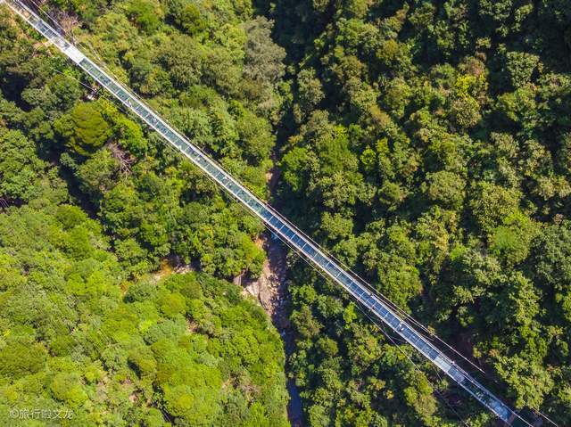 原创游客喜欢的石台县醉山野景区,体验了乡村旅游,天然氧吧的清新感