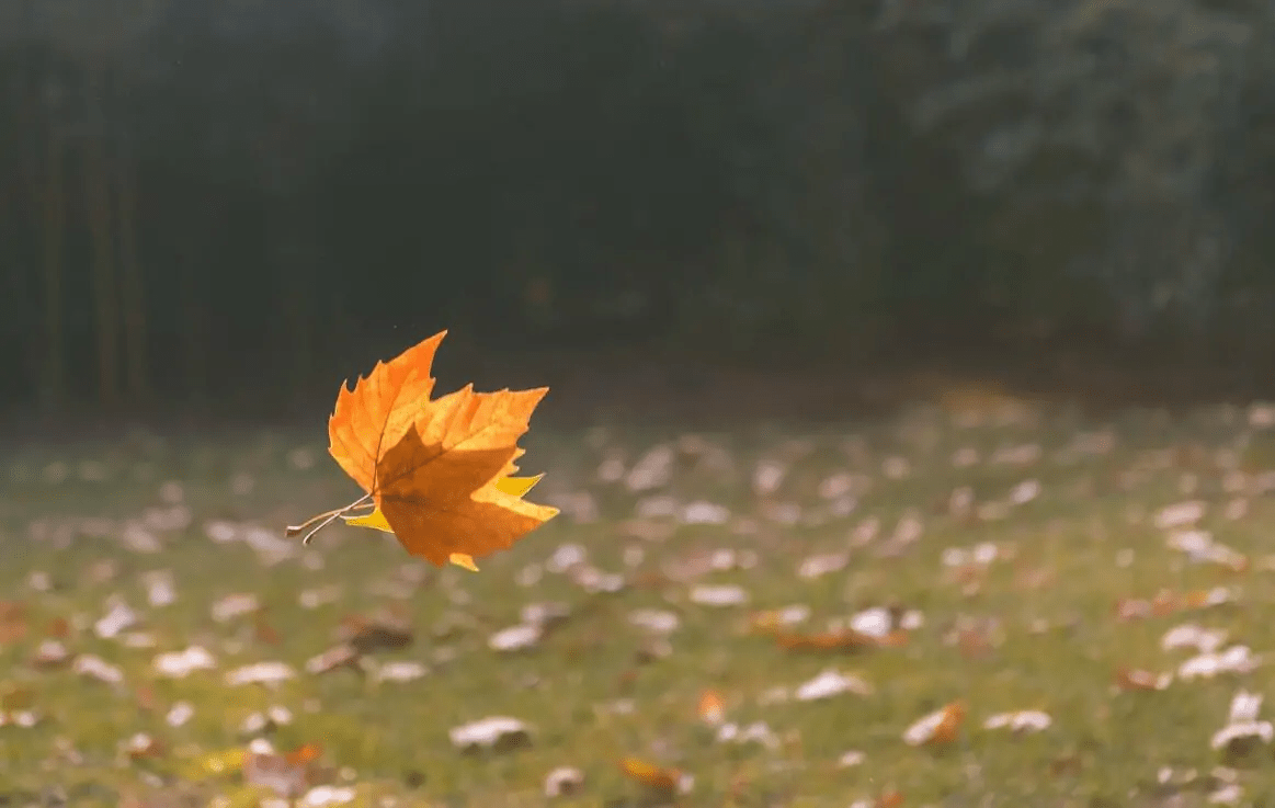 安稳平静,与世无争