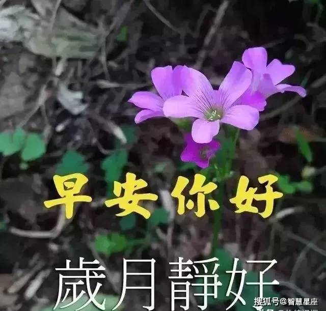 2021最旺财的微信图片,2021招财转运风水图片 2021微信群发早晨好动态表情问候图片 2021早安问候动态表情图片