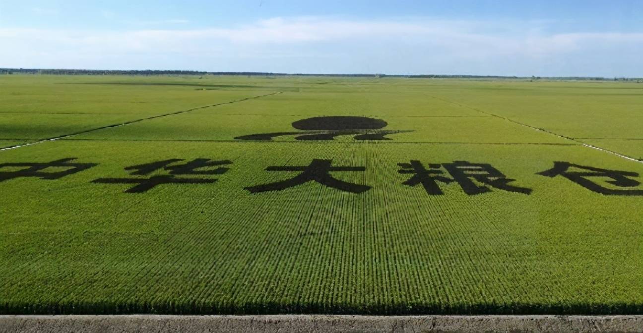 北大荒为何要退耕还荒当年开发花了那么多力气如今却要作废