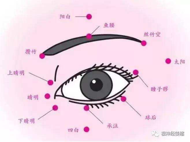 按摩眼皮,眼部穴位能预防眼疾