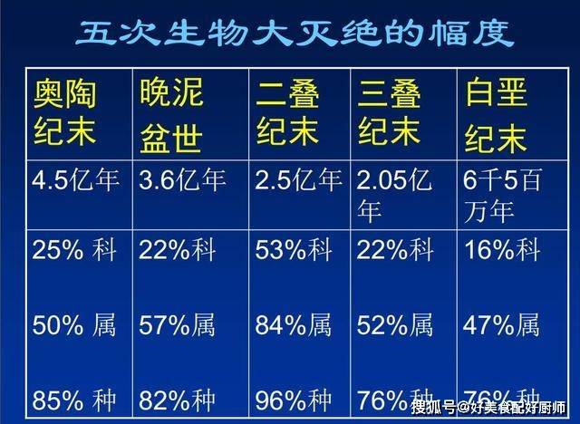 原创哺乳动物灭绝速度堪比火箭升天,12万年前物种灭绝或将二次上演