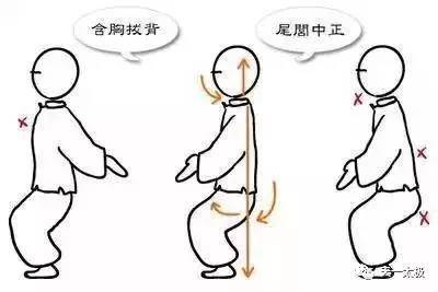 赵天一老师谈站桩(上)