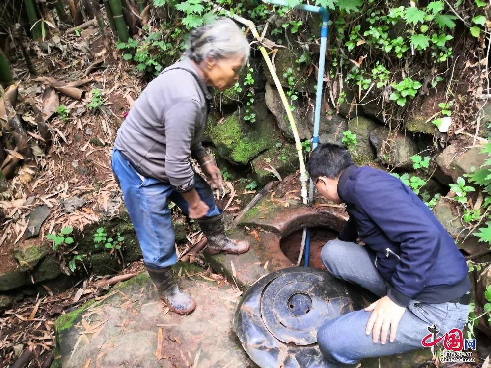 驻村帮扶印记||资阳市税务局林定刚:初生"牛犊"显担当