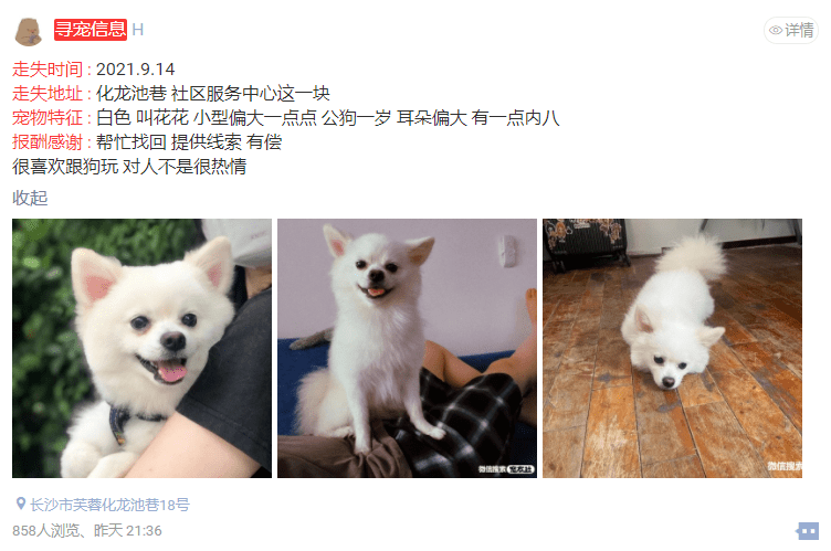 [寻猫寻狗团队]09月15日猫狗走失信息
