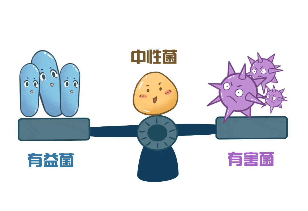 既能调理腹泻,又能改善便秘,壳寡糖竟有如此神奇的双向调节功能?