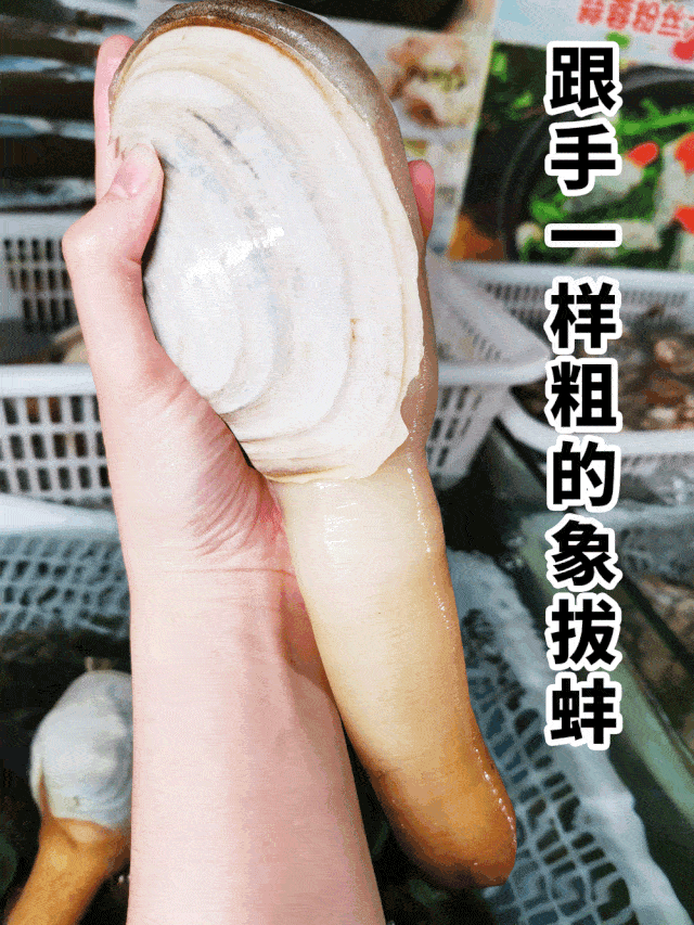 640_853 竖版 竖屏