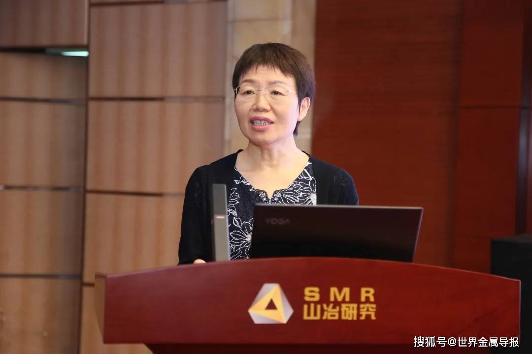 中国计量科学院化学所所长李红梅作题为《国际化学计量进展与国家标准