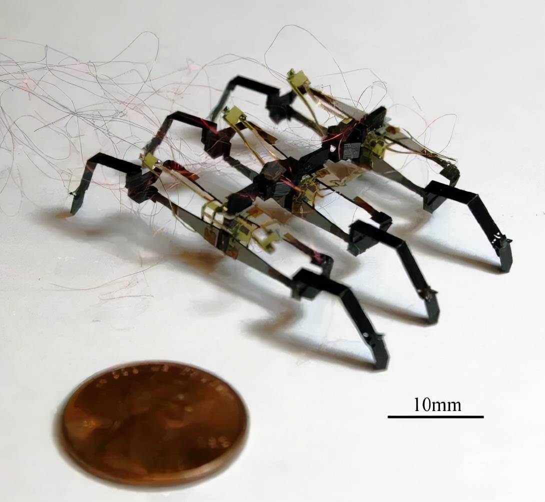 图 | 组装的三段节式蜈蚣微型机器人(来源:robert j.