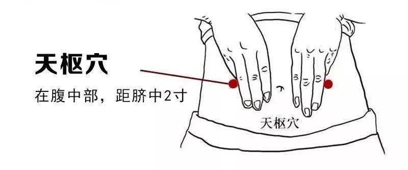 除了牢记下面的瘦身"三不要 还要._穴位