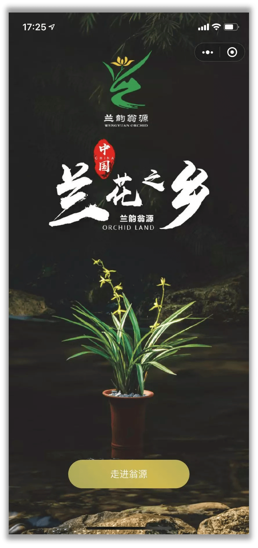倒计时3天兰韵翁源兰得有你系列活动即将启幕更多精彩待9月28日揭晓