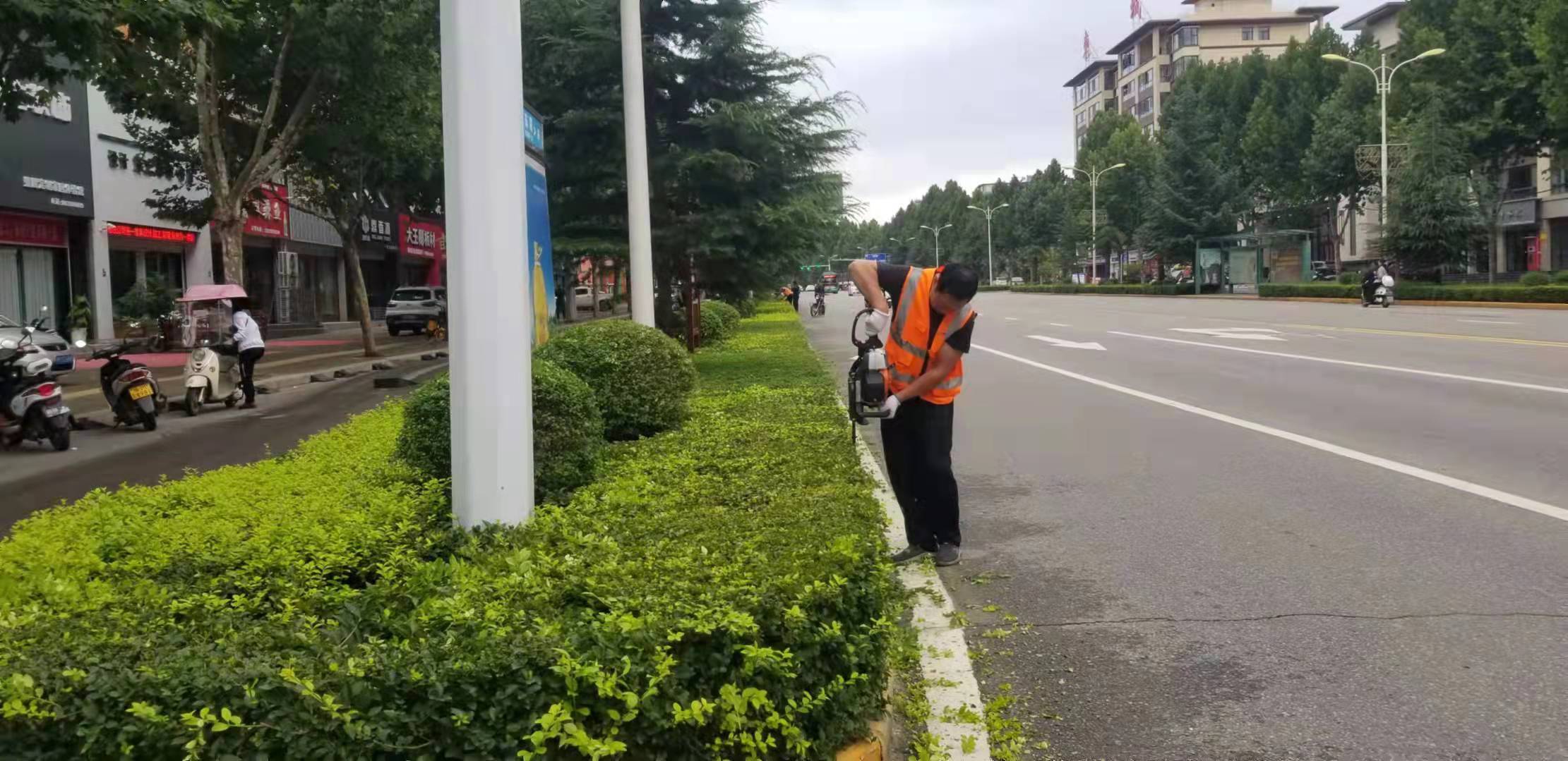 卢氏县城市管理局积极开展道路绿篱修剪工作