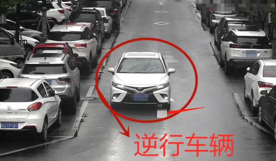 车逆行,无视市民质疑,扬言"你一辈子开不起兰博基尼"_搜狐汽车_搜狐网