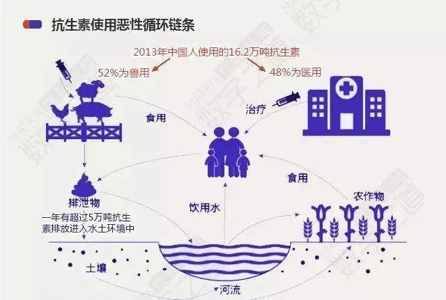 曝光"抗生素肉"摆满餐桌!100万人或将死亡!破解方法都在这里