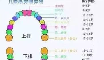 "乳牙还能救命",怪不得老一辈不让扔,你家宝宝的乳牙还在吗?