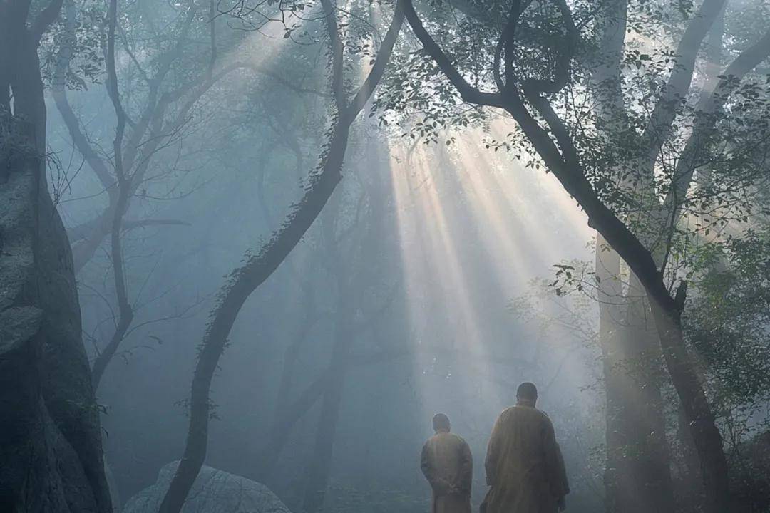 受苦是对自己的一种保护!_宿世