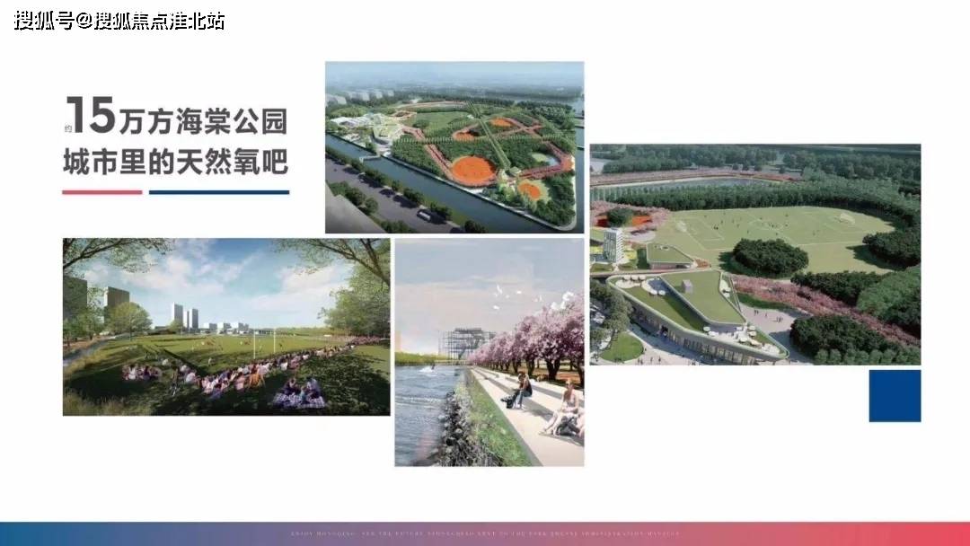 作为青浦区"十四五"规划重大工程之一,项目对面的"海棠公园"总投资额