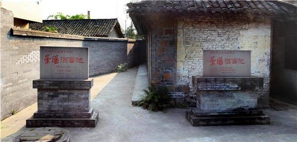 早在2009 年12月,金盆地集团便在崇阳1886古窖池群落的基础上,斥资3