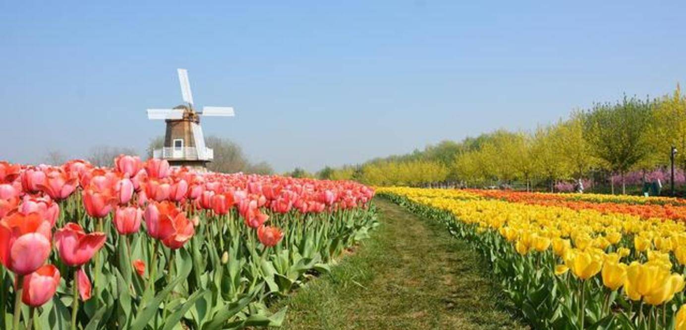 北京一处鲜花包围的景区,一年四季花开烂漫,门票30距市区39公里