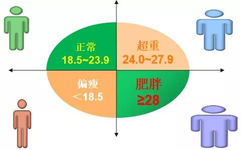 中国超重及肥胖症人口已达5亿,80%的"病"是吃出来的!