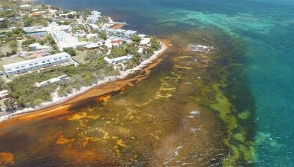 原创世界最神秘的海,海水透明度高达72米,船只一旦踏入便有去无回