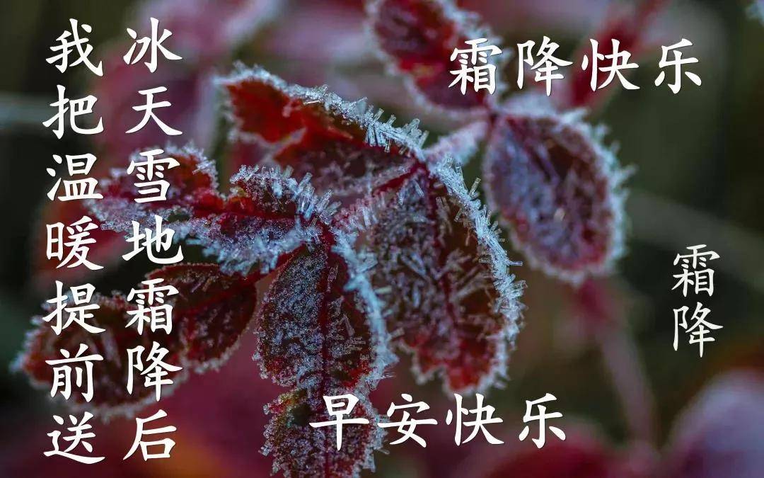 2021最美霜降早上好祝福语动态表情图片 温馨的霜降问候语说说句子