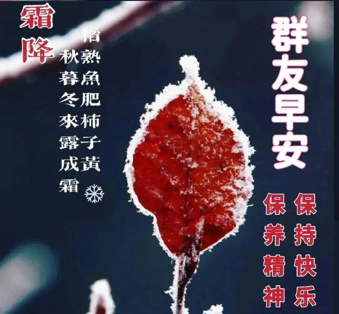 9张霜降创意好看的早上好祝福图片温馨 霜降时节早安问候祝福语图片带