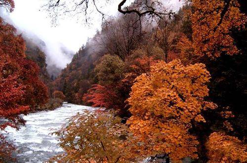 米亚罗风景区,位于四川省阿坝藏族羌族自治州理县境内,占据全县面积