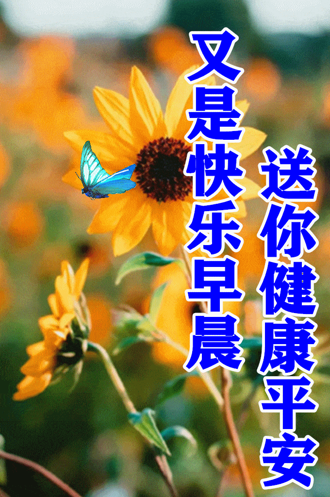 680_1024 竖版 竖屏