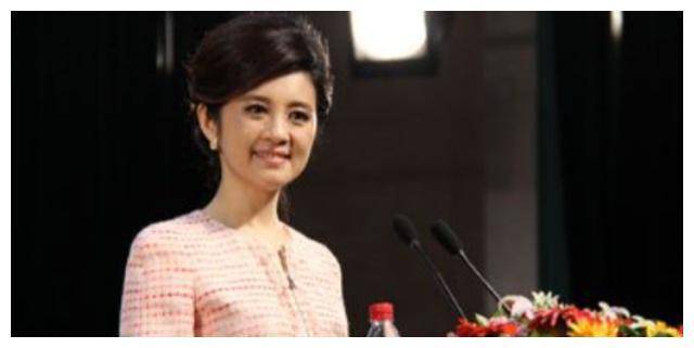 丁健与主持人许戈辉相恋, 向妻子提出离婚, 额外给一亿补偿!_肖桦