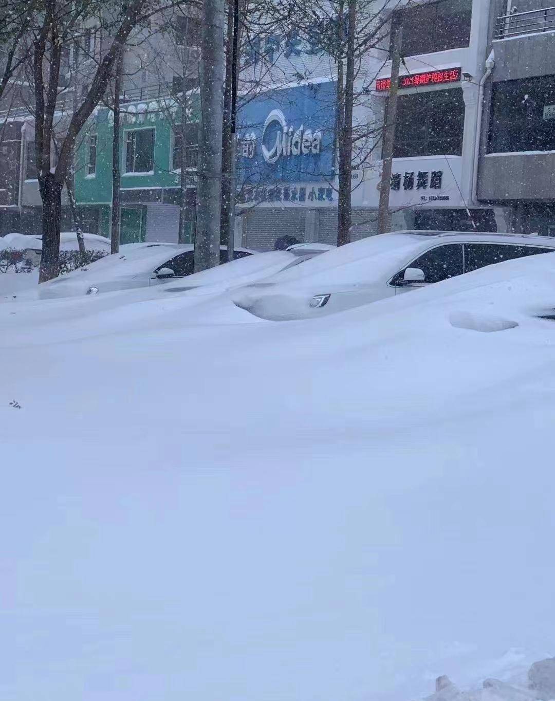 千真万确!_大雪