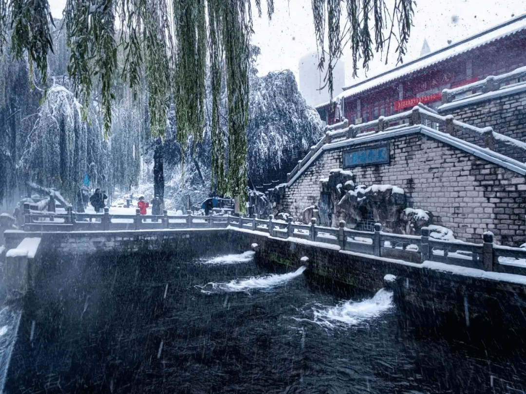 "济南府"雪景刷屏!来看老舍笔下"济南的冬天"有多美!