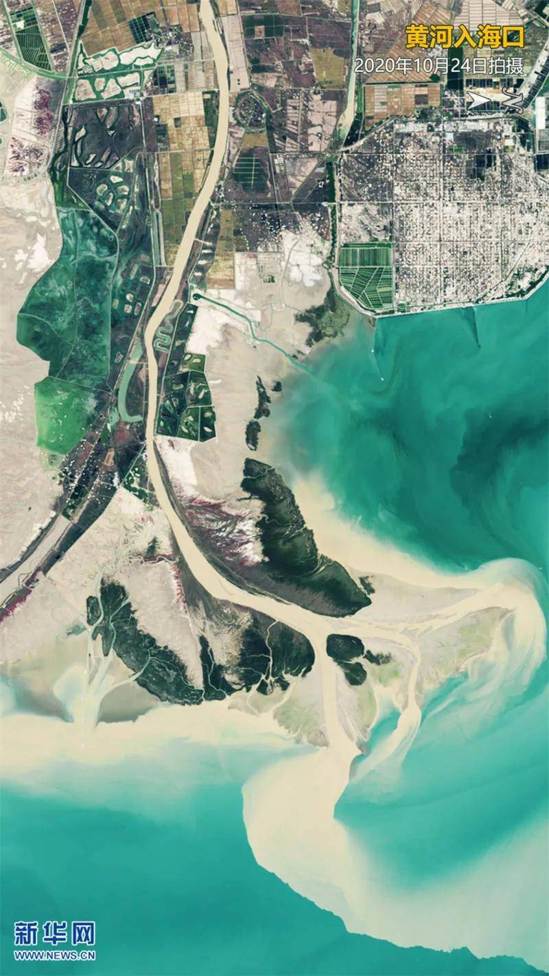 黄河入海口卫星图
