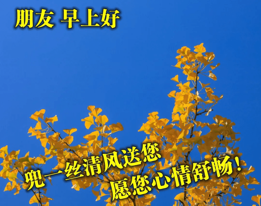 原创祝福相伴的早安动态表情包每日最新早上好动态祝福图片