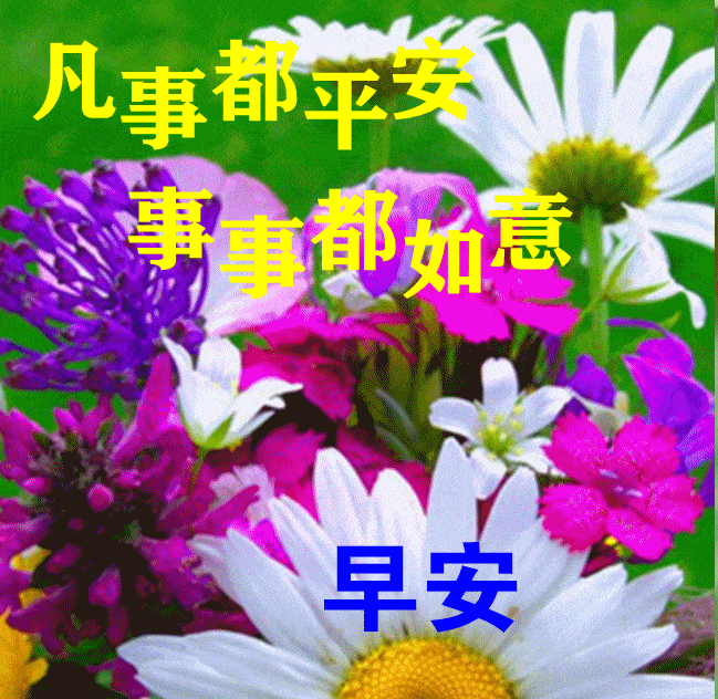 微信特别漂亮的早晨好暖心语录朋友圈新版早安图片大全