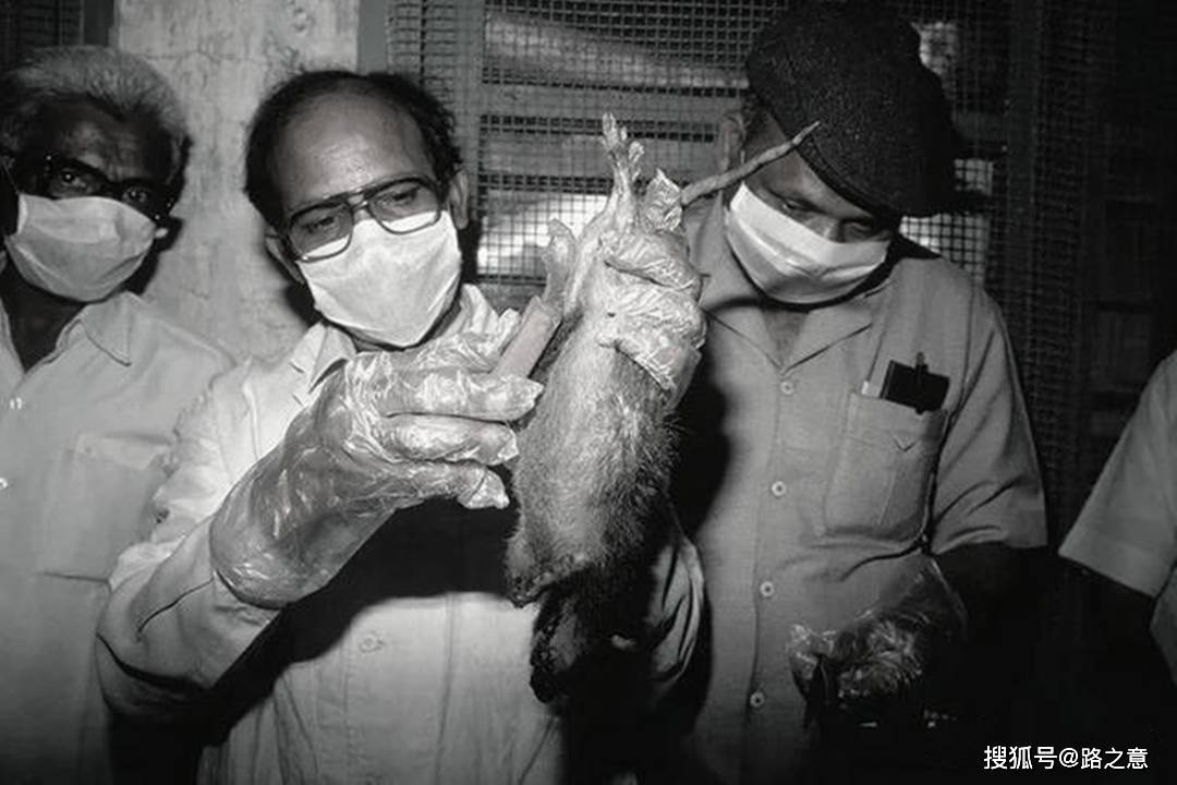 原创94年鼠疫肆虐印度:4天50万人逃离,追其原因还是环境卫生太差!