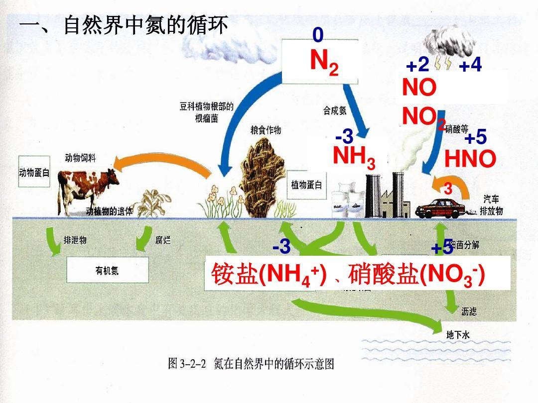 鱼缸里硝酸盐过高怎么解决鱼缸硝酸盐的什么数值比较合适