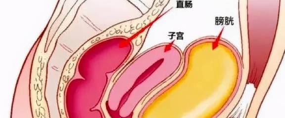 子宫是女人魅力的源泉,怎样呵护子宫?听听它的心声