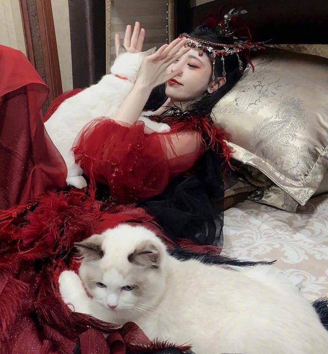 鞠婧祎晒出4张撸猫照,阅读量超过22万,网友:"我沦陷了"?