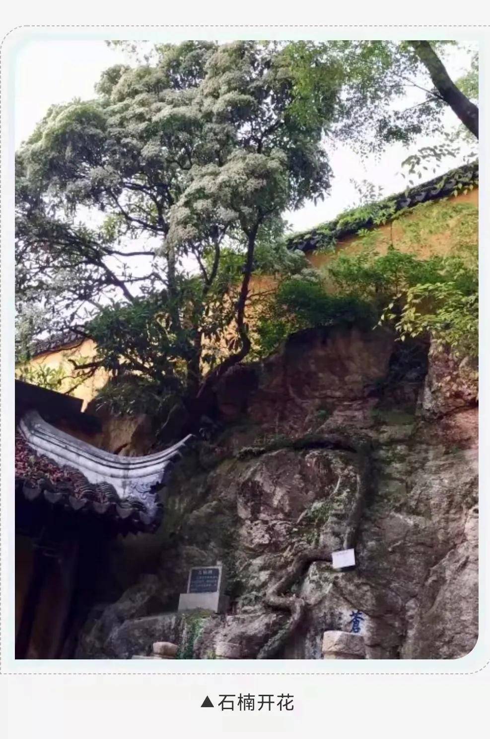 石壁永慧禅寺┃苏州蟠螭山太湖景色