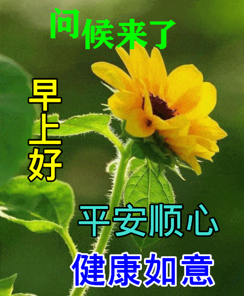 2021早上好经典短语 早上好的祝福语_人生_朋友_安康