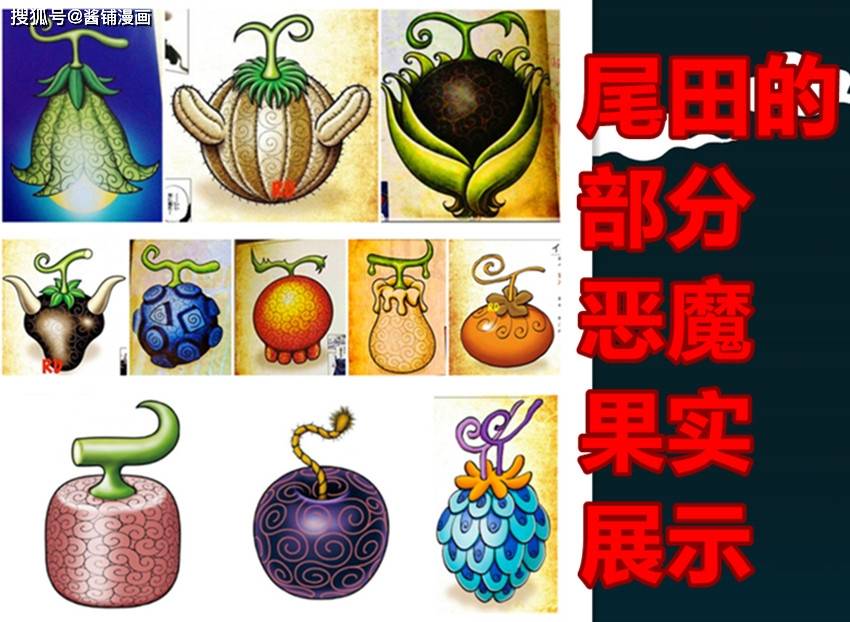 原创海贼王官方情报尾田公布全身龙鳞的新果实设计掌握风雷火能力