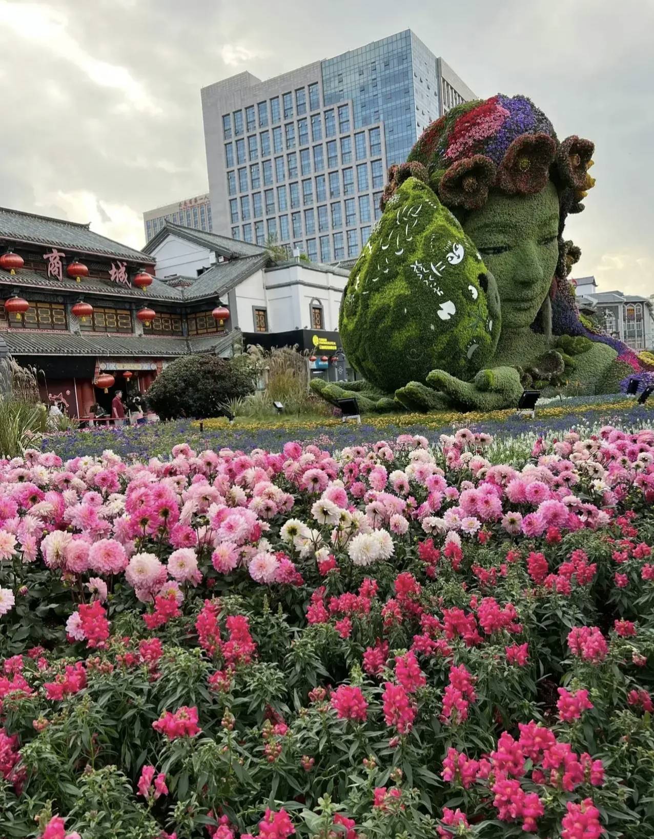 千万不要一个人来云南_花仙子_昆明_一世