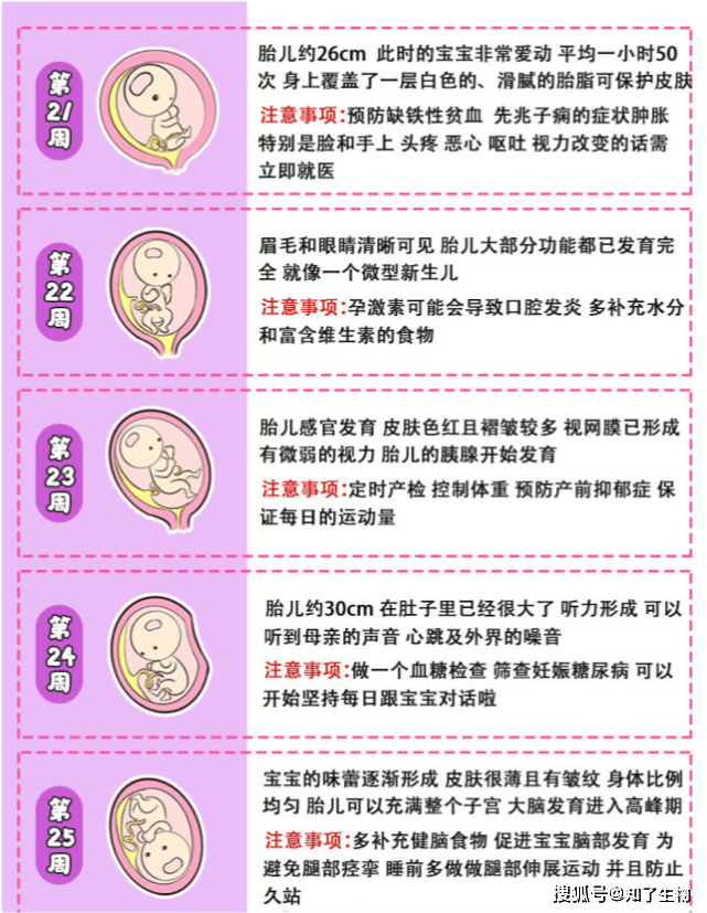 怀孕40周宝宝在肚子里的变化真神奇