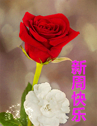 2021年12月13日星期一清晨早上好问候祝福图片 周一最新早安问候祝福