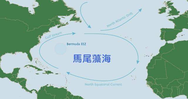原创全球透明度最高的海肉眼可见72米却成为海上坟地有去无回