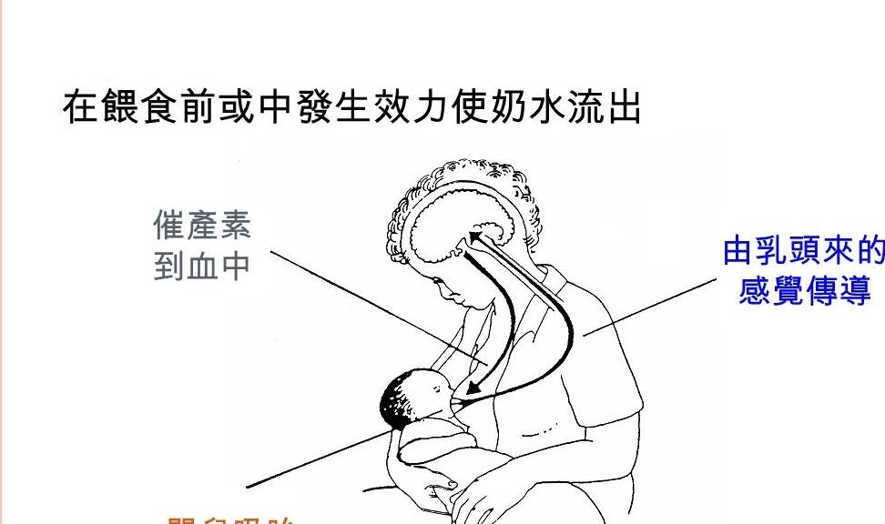 母乳不足别担心,产妇做好4点,奶水自然多起来！