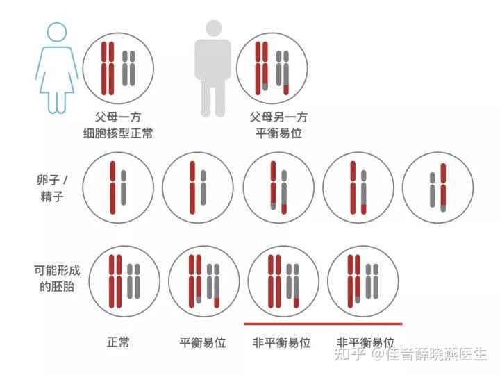 别担心啦染色体易位也可以拥有健康宝宝